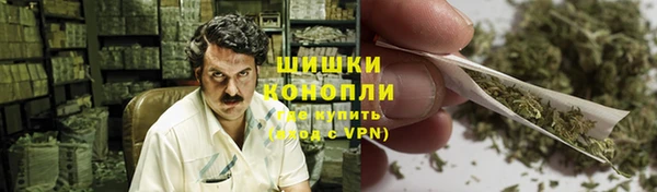 прущая мука Гусев