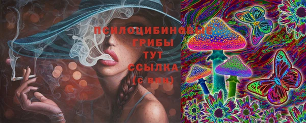марки lsd Гусиноозёрск