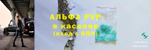 прущая мука Гусев