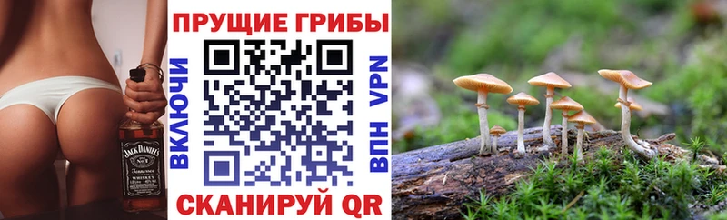 Галлюциногенные грибы мицелий Купить закладки Урень